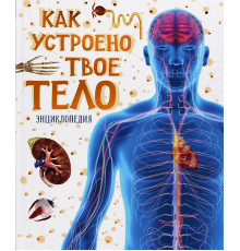Как устроено твое тело