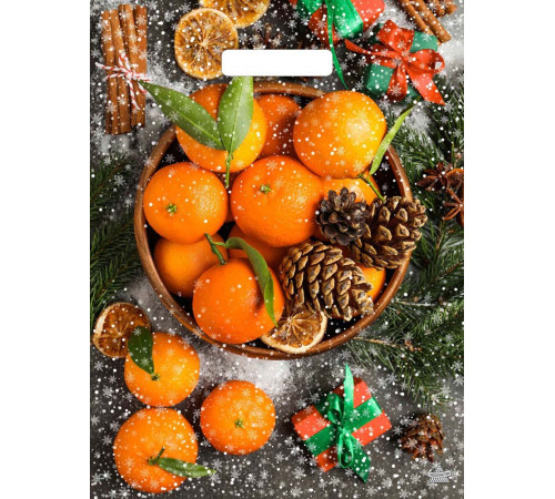 Пакет НГ прорубка ламинат 31*40=60 