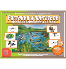 Набор карточек «Растения и обитатели пресноводных водоемов» Д-515