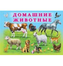 Книжки в мягкой обложке - Раннее развитие. Учим малыша. Домашние животные