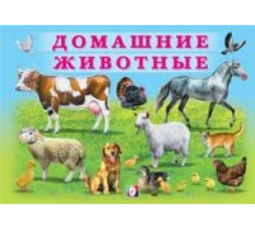 Книжки в мягкой обложке - Раннее развитие. Учим малыша. Домашние животные