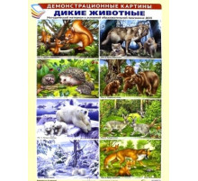 Демонстрационные картины А3. Дикие животные. Методический материал к основной образовательной программе ДОО (8 картин А3+, этикетка с текстом заданий на обороте)