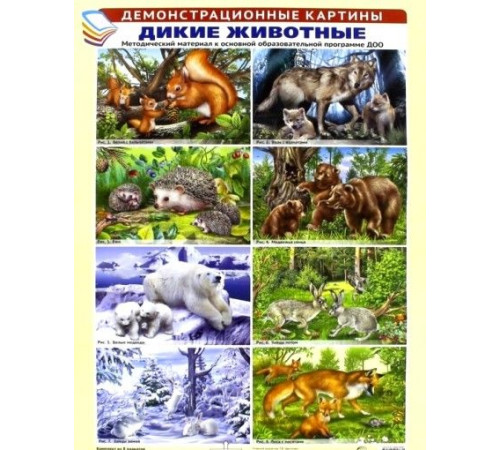 Демонстрационные картины А3. Дикие животные. Методический материал к основной образовательной программе ДОО (8 картин А3+, этикетка с текстом заданий на обороте) Демонстрационные картины А3. Дикие животные. Методический материал к основной образовательной программе ДОО (8 картин А3+, этикетка с текстом заданий на обороте)