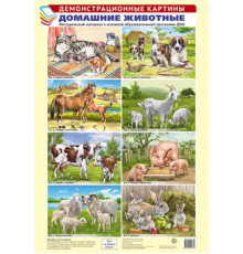 Демонстрационные картины А3. Домашние животные. Методический материал к основной образовательной программе ДОО (8 картин А3+, этикетка с текстом заданий на обороте)