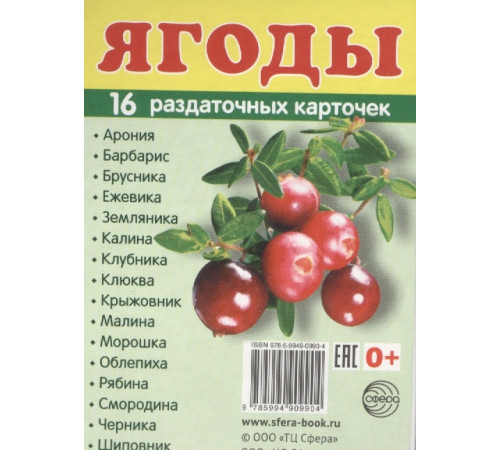 Демонстрационые картинки СУПЕР Ягоды. 16 раздаточных карточек с текстом (учебно-методическое пособие с комплектом демонстрационного материала 63х87 мм) Демонстрационые картинки СУПЕР Ягоды. 16 раздаточных карточек с текстом (учебно-методическое пособие с комплектом демонстрационного материала 63х87 мм)