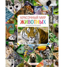 Красочный мир животных. Энциклопедия. Балле К.