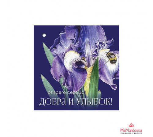 О.Пл.Код 060.Бирка, Медаль, Приглашение, Украшение, Набор оформительский,