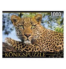 Konigspuzzle 1000 элементов. Портрет леопарда ГИК1000-0648