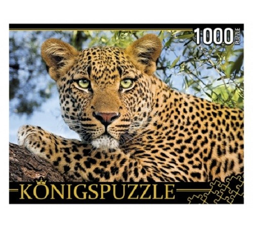 Konigspuzzle 1000 элементов. Портрет леопарда ГИК1000-0648