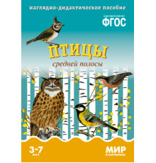 МИР в картинках.Птицы средней полосы