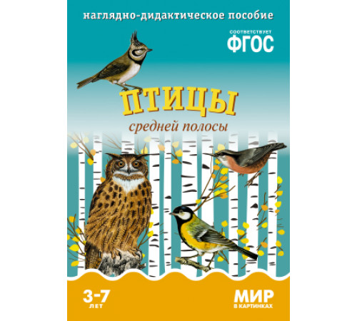 МИР в картинках.Птицы средней полосы МИР в картинках.Птицы средней полосы