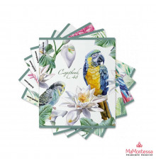 Тетрадь общая ученическая ErichKrause Тропические птицы, 48 листов, клетка, мат.лам.+выб. УФ-лак+тиснение фольгой+конгрев, доп.лист_MIX-PACK 60611