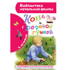 Библиотека начальной школы. Конь с розовой гривой
