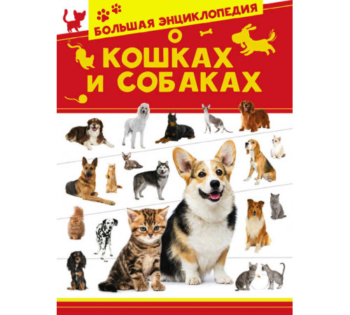 Большая энциклопедия о кошках и собаках. Большая энциклопедия домашних животных