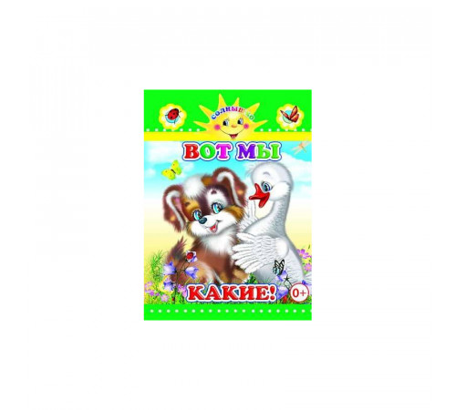 Леда.Книга Карт Солнышко Н Вот мы какие