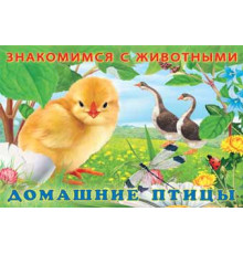 Книжки в мягкой обложке - Раннее развитие. Знакомимся с животными. Домашние птицы