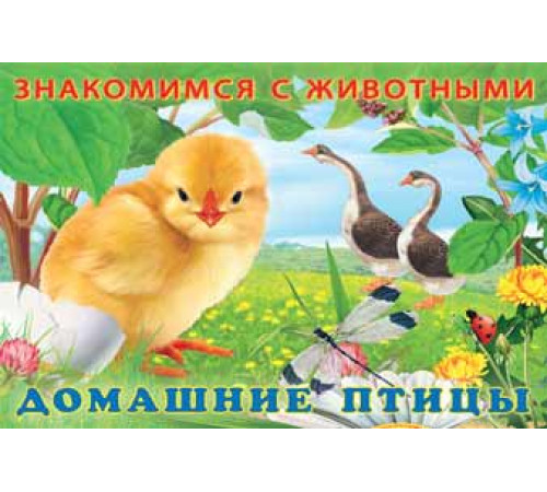 Книжки в мягкой обложке - Раннее развитие. Знакомимся с животными. Домашние птицы